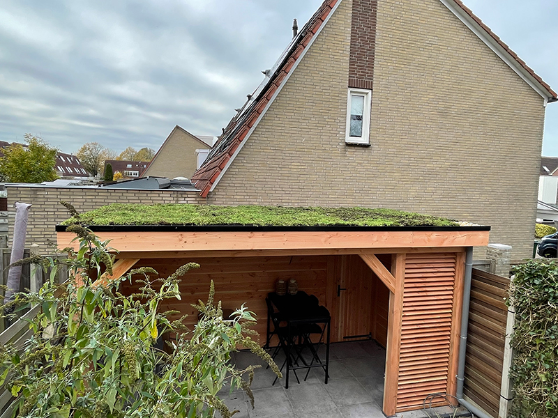 Sedumdak Nieuw-Vennep